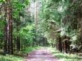 ogłoszenie o sprzedaży nieruchomości, stanowiących własność Gminy Narewka