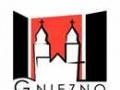 przetarg ustny nieograniczony na sprzedaż nieruchomości niezabudowanej położonej w Gnieźnie, przy ulicy Pomowskiej