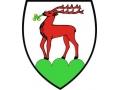 przetarg ustny nieograniczony na sprzedaż nieruchomości gruntowych niezabudowanych, położonych w Jeleniej Górze, ul. Zamkowa